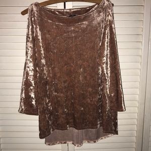 NWOT Champagne Velour Blouse